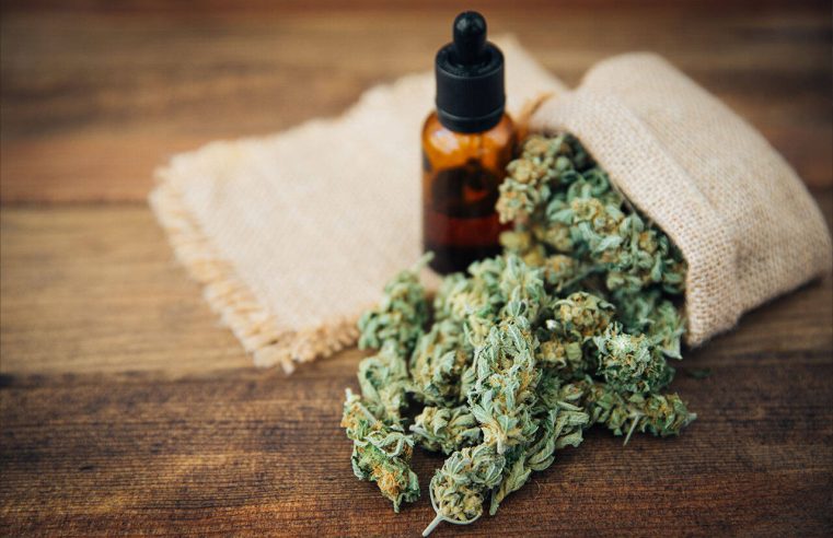 Sour Diesel CBD: What is it and what does it do?