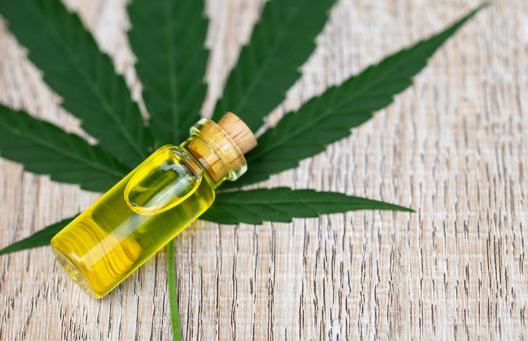 Select the best CBD products with the help of new articles today!