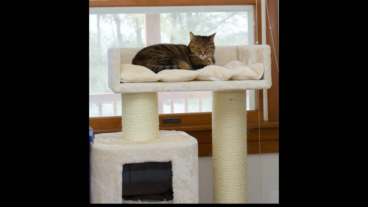 Elevate your cat’s kingdom to new heights with Cat Tree King.