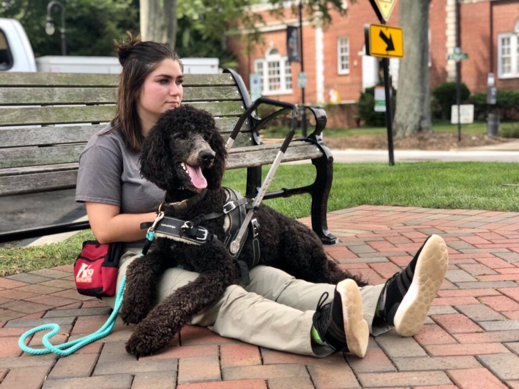 service dog trainers
